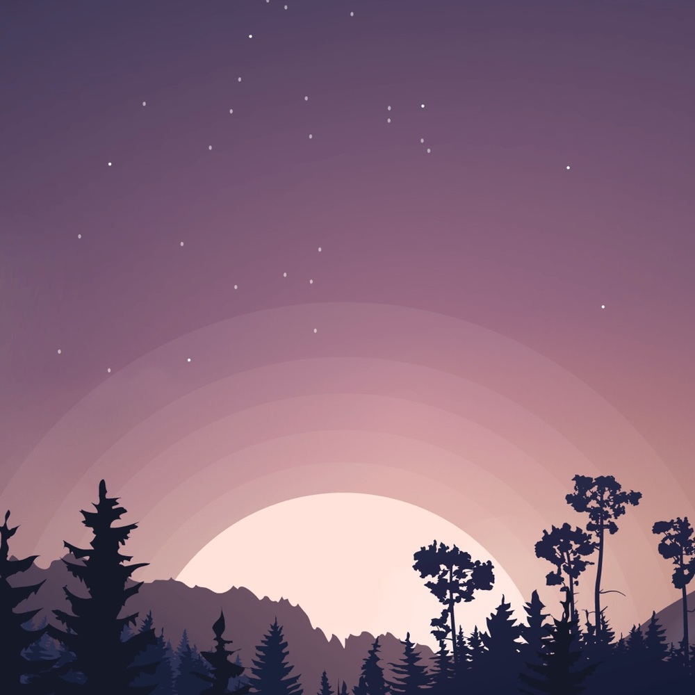 Meet your Posher, Shay